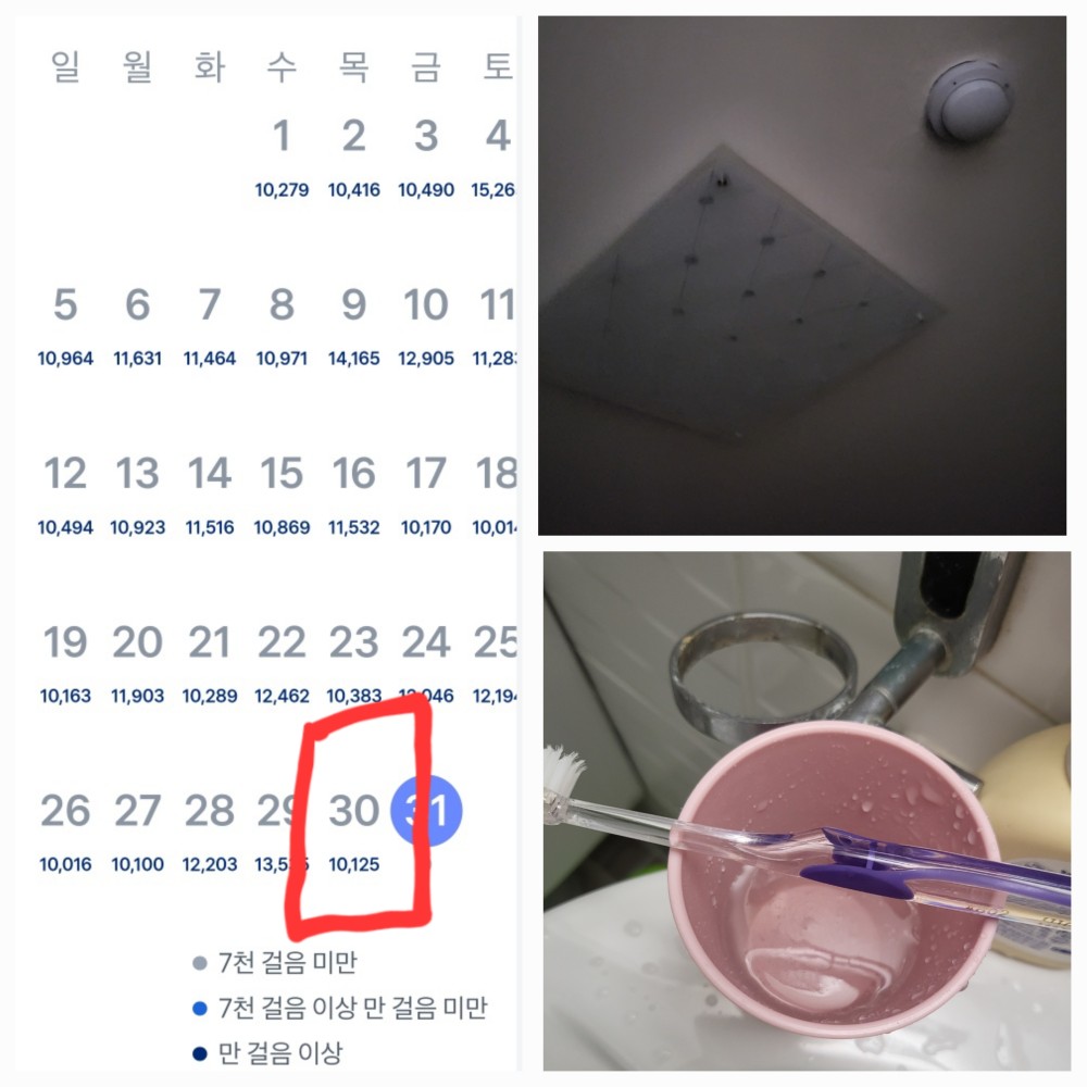 20240530.jpg