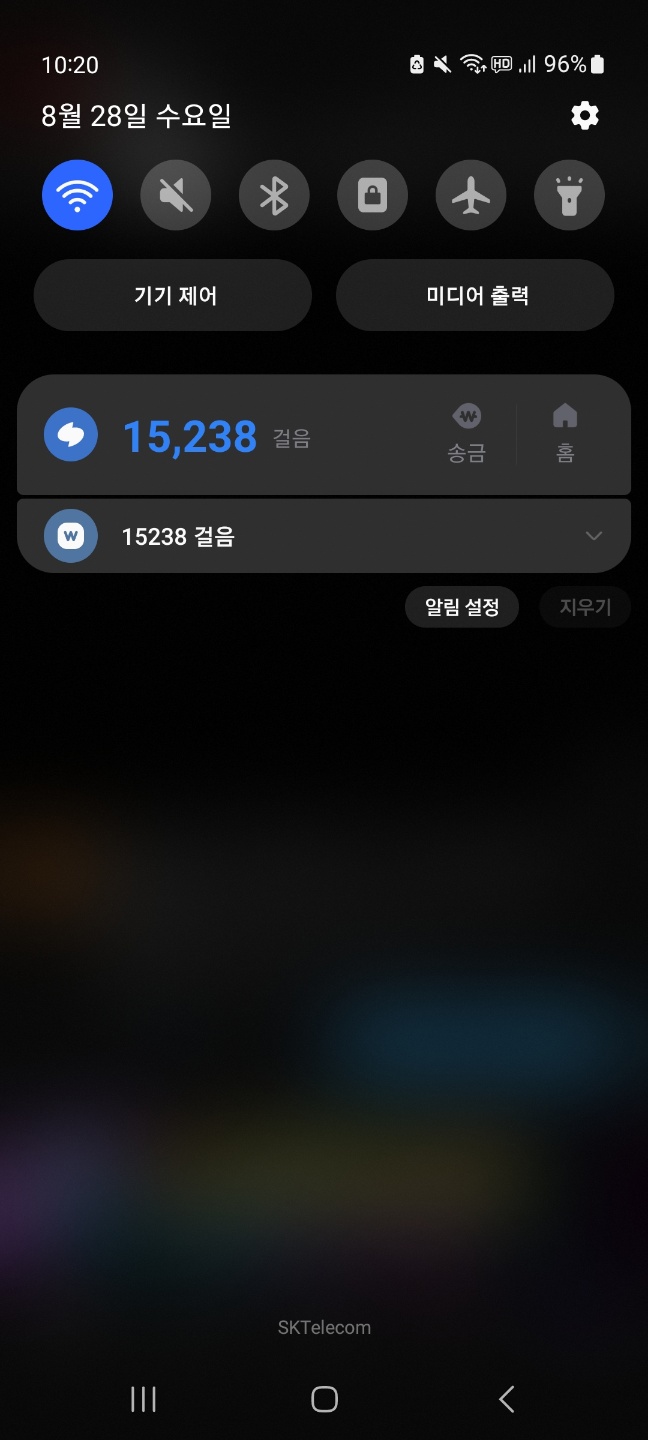 KakaoTalk_20240828_222042188.jpg